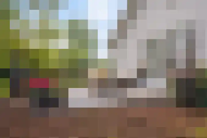 Woudseweg 19 Den Dungen thumbnail 30