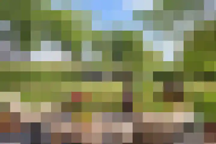 Woudseweg 19 Den Dungen thumbnail 31