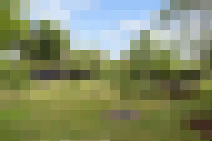 Woudseweg 19 Den Dungen thumbnail 32