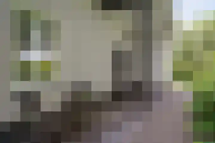 Woudseweg 19 Den Dungen thumbnail 33