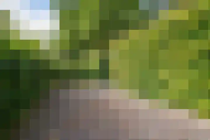 Woudseweg 19 Den Dungen thumbnail 35