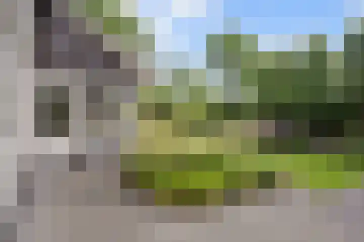 Woudseweg 19 Den Dungen thumbnail 36