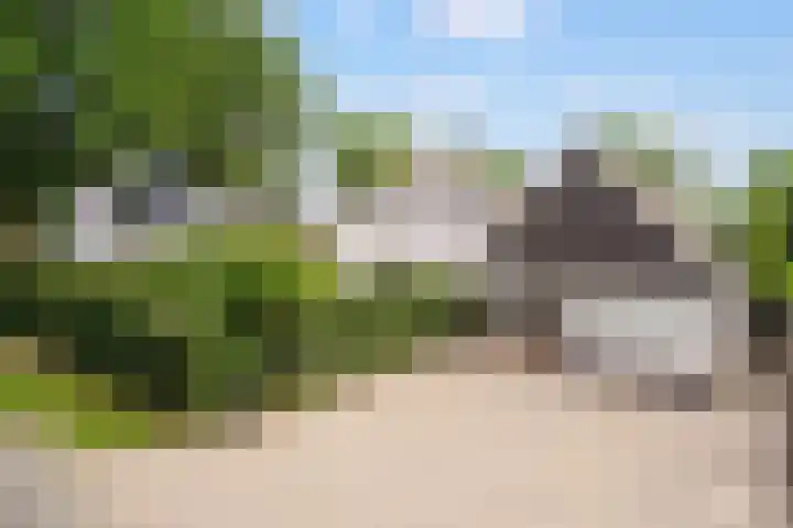 Woudseweg 19 Den Dungen thumbnail 37