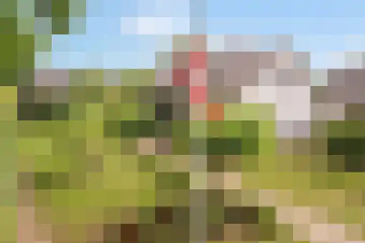 Woudseweg 19 Den Dungen thumbnail 38