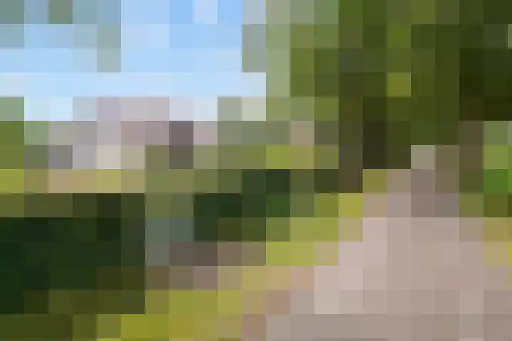 Woudseweg 19 Den Dungen thumbnail 39