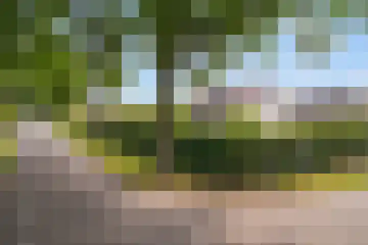 Woudseweg 19 Den Dungen thumbnail 40