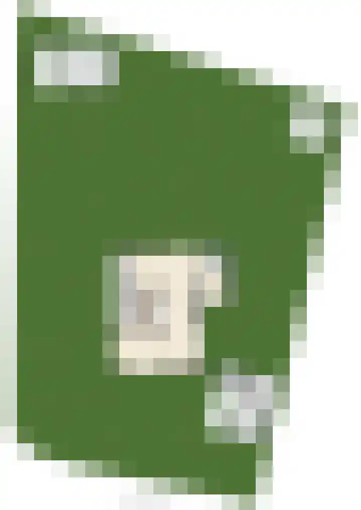 Woudseweg 19 Den Dungen thumbnail 47