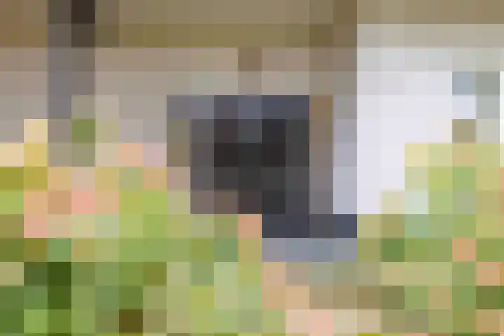 Woudseweg 19 Den Dungen thumbnail 5