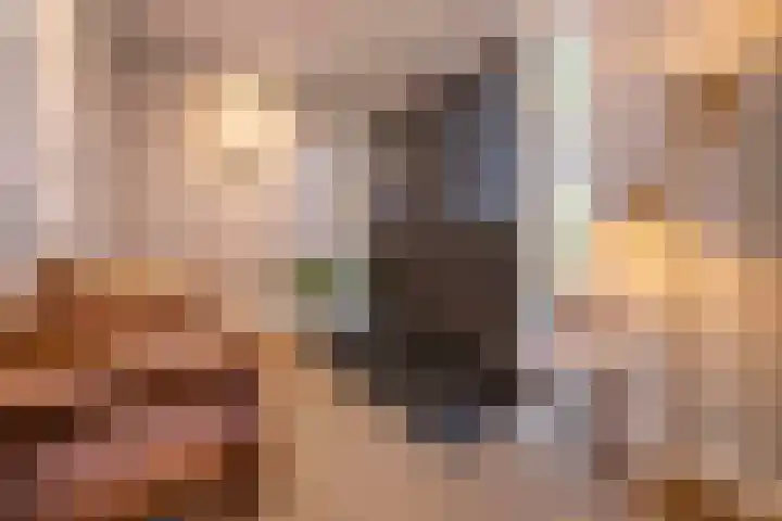 Woudseweg 19 Den Dungen thumbnail 6