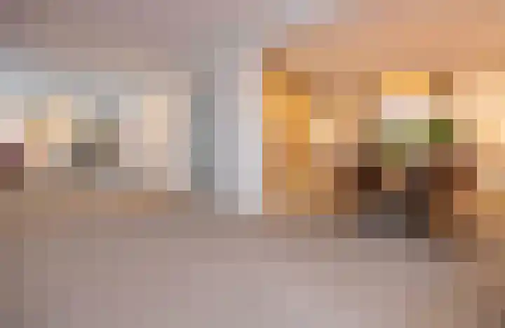 Woudseweg 19 Den Dungen thumbnail 7