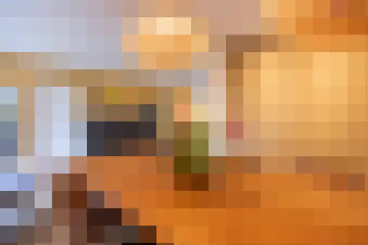Woudseweg 19 Den Dungen thumbnail 9