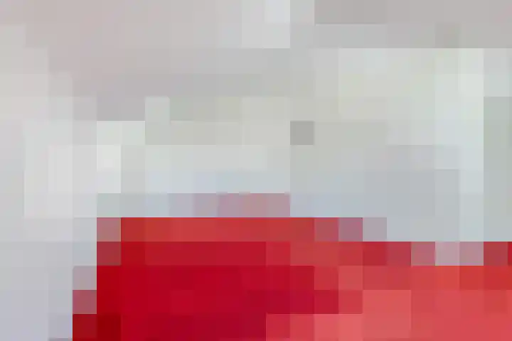 Woudseweg 20 Barneveld thumbnail 27