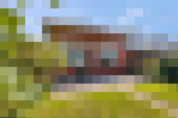 Woudseweg 20 Barneveld thumbnail 33