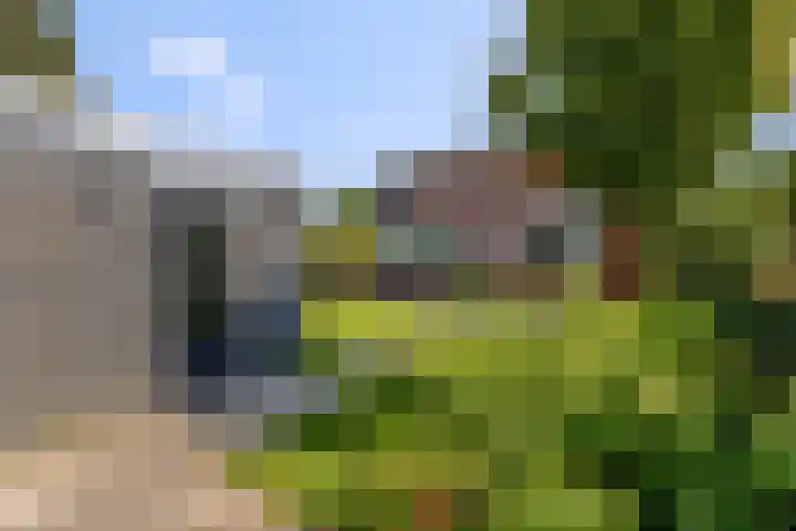 Woudseweg 20 Barneveld thumbnail 34