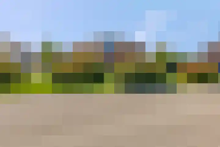 Woudseweg 20 Barneveld thumbnail 40
