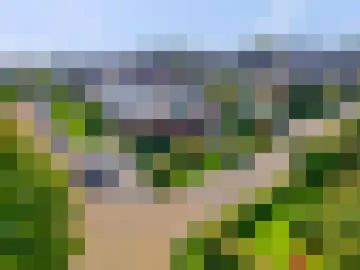 Woudseweg 20 Barneveld thumbnail 43