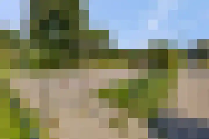 Woudseweg 20 Barneveld thumbnail 45