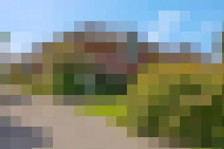 Woudseweg 20 Barneveld thumbnail 8