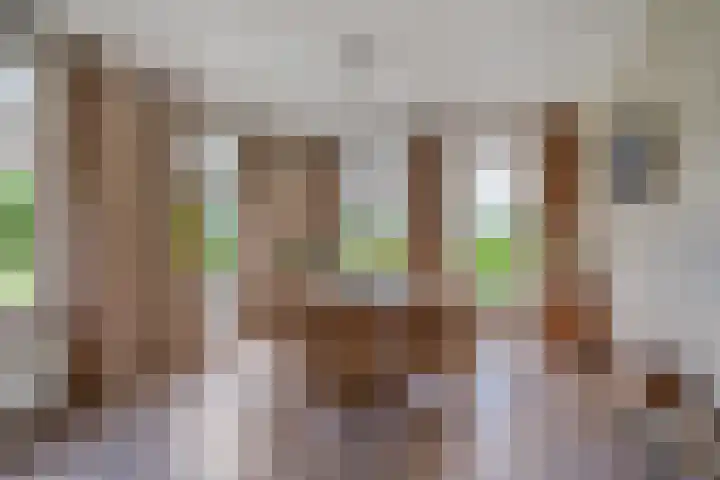 Woudseweg 23 Den Dungen thumbnail 11