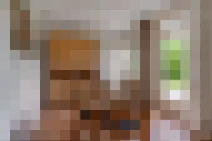 Woudseweg 23 Den Dungen thumbnail 12
