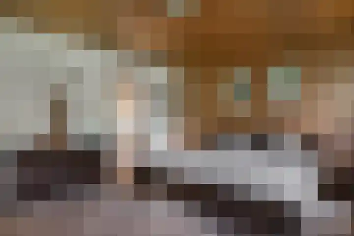 Woudseweg 23 Den Dungen thumbnail 14