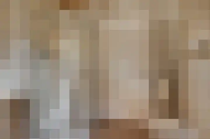 Woudseweg 23 Den Dungen thumbnail 17