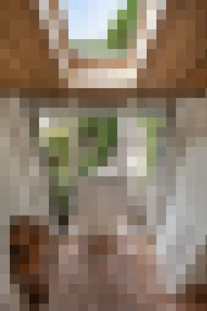 Woudseweg 23 Den Dungen thumbnail 20