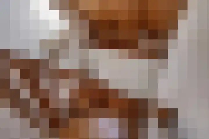 Woudseweg 23 Den Dungen thumbnail 21