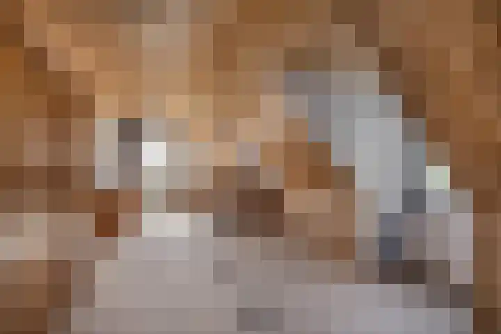 Woudseweg 23 Den Dungen thumbnail 25