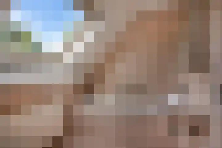 Woudseweg 23 Den Dungen thumbnail 28