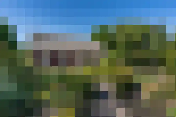 Woudseweg 23 Den Dungen thumbnail 29