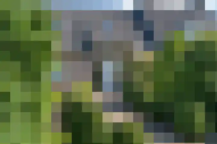 Woudseweg 23 Den Dungen thumbnail 32