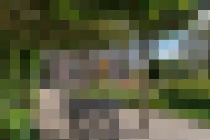 Woudseweg 23 Den Dungen thumbnail 33