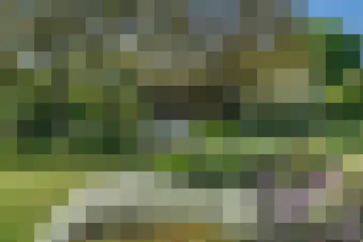 Woudseweg 23 Den Dungen thumbnail 34