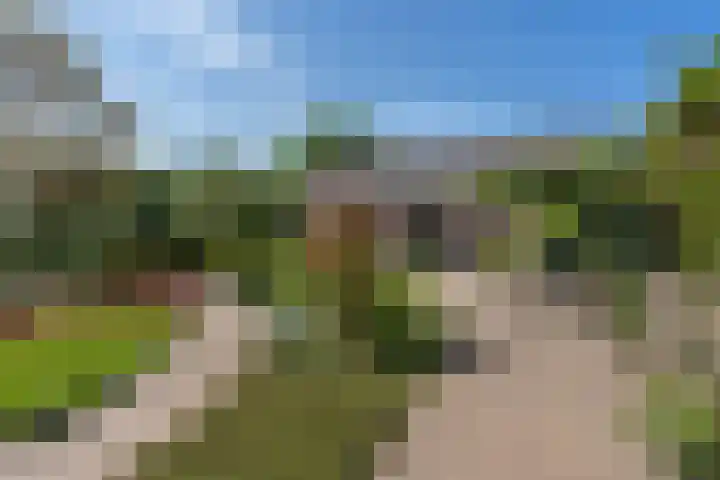 Woudseweg 23 Den Dungen thumbnail 35