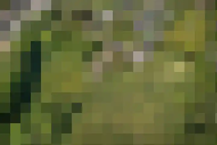 Woudseweg 23 Den Dungen thumbnail 37