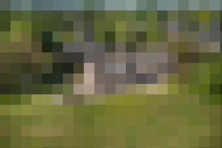 Woudseweg 23 Den Dungen thumbnail 39