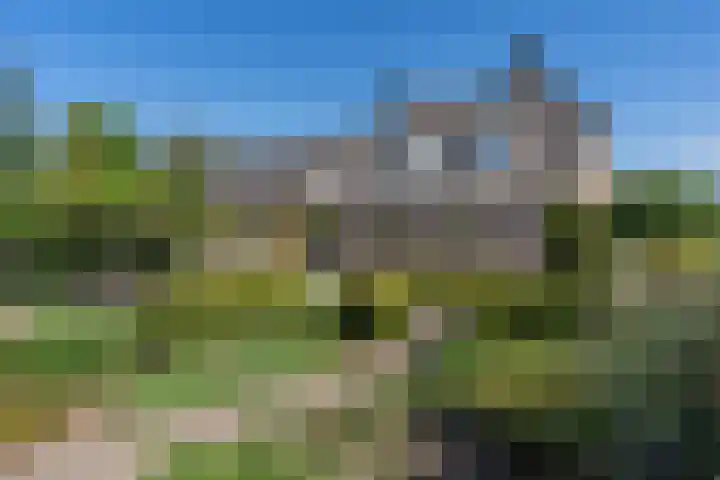 Woudseweg 23 Den Dungen thumbnail 4