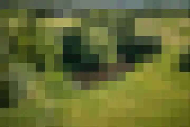 Woudseweg 23 Den Dungen thumbnail 40