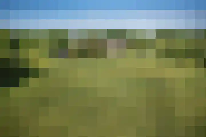 Woudseweg 23 Den Dungen thumbnail 42