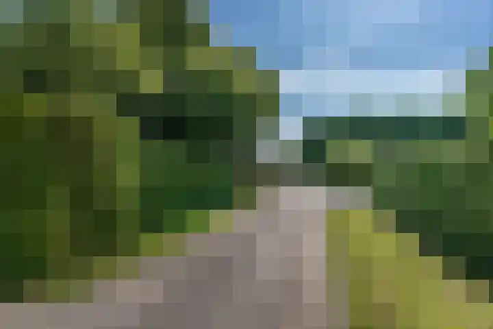 Woudseweg 23 Den Dungen thumbnail 46