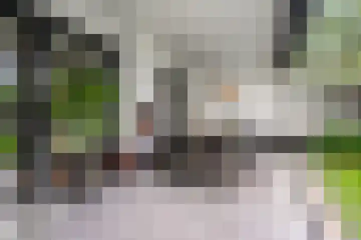 Woudseweg 35 Barneveld thumbnail 4