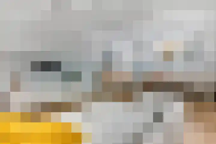 Woudseweg 35 Barneveld thumbnail 42
