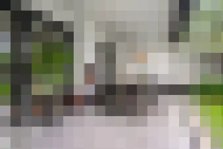 Woudseweg 35 Barneveld thumbnail 48