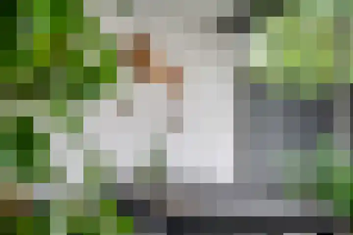 Woudseweg 35 Barneveld thumbnail 50