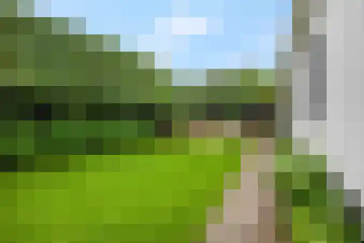 Woudseweg 35 Barneveld thumbnail 51