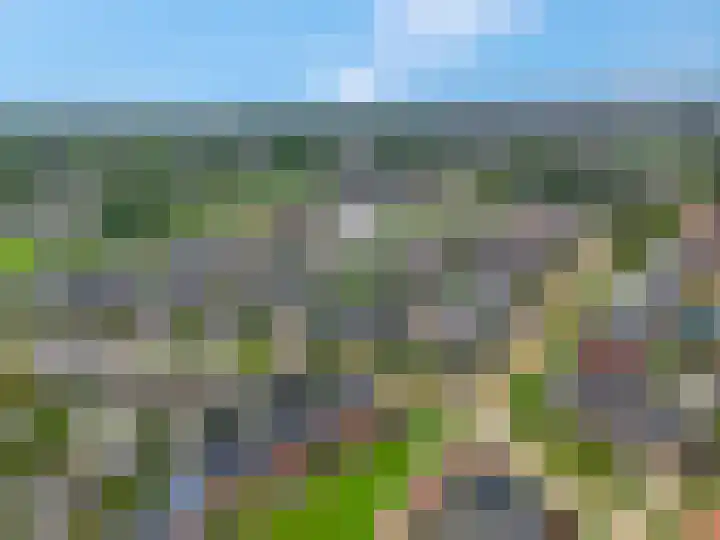 Woudseweg 35 Barneveld thumbnail 64