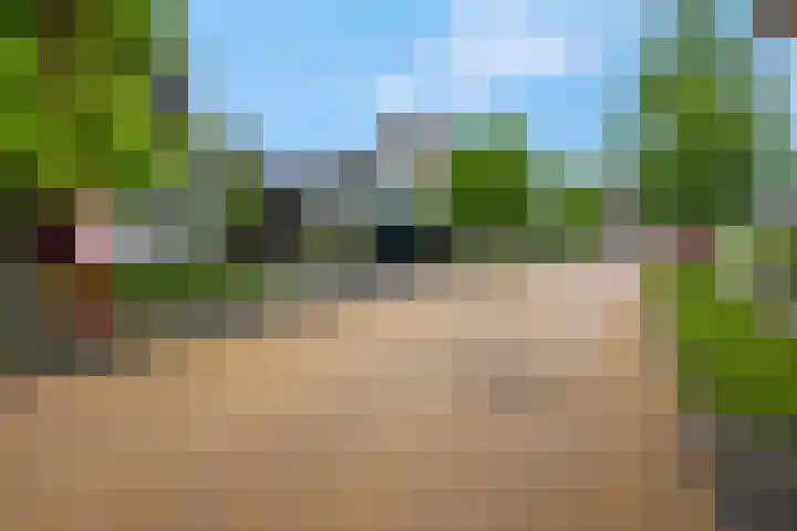 Woudseweg 35 Barneveld thumbnail 7