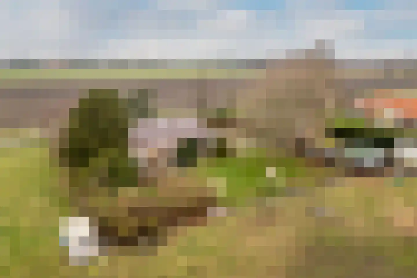 Woudseweg 4 b Tinte thumbnail 19