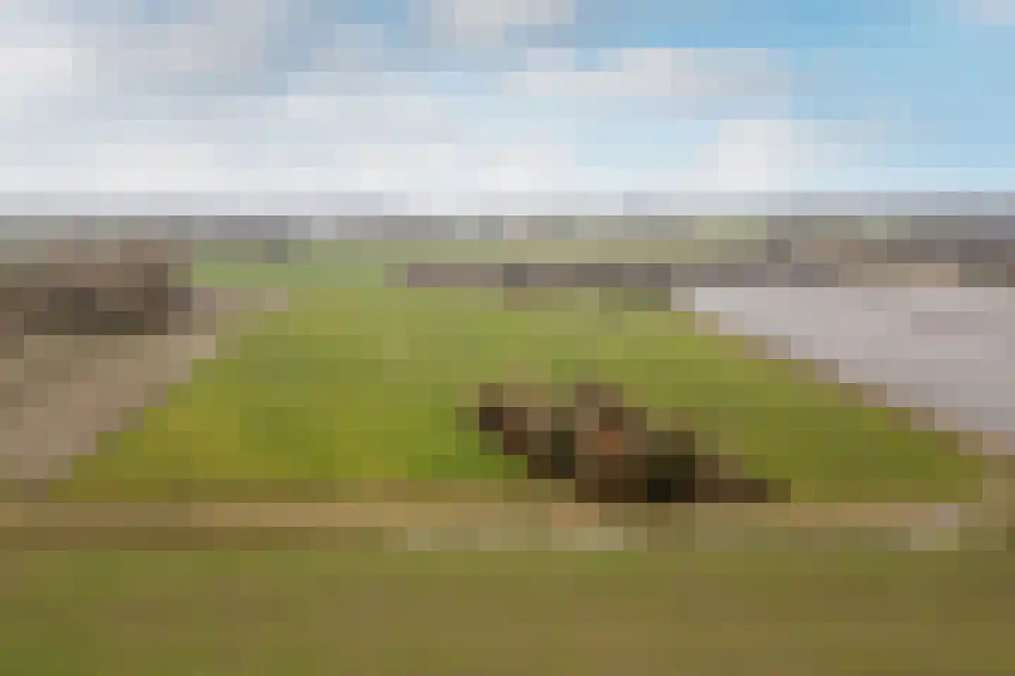 Woudseweg 4 b Tinte thumbnail 21